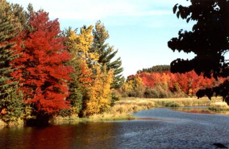 L'automne